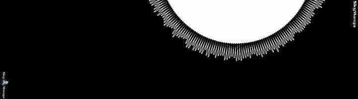 Authorized Agency - Chapter 20 24 Authorized Agency - Chapter 20 24