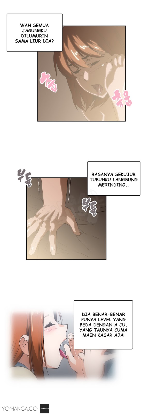 SStudy - Chapter 19 11