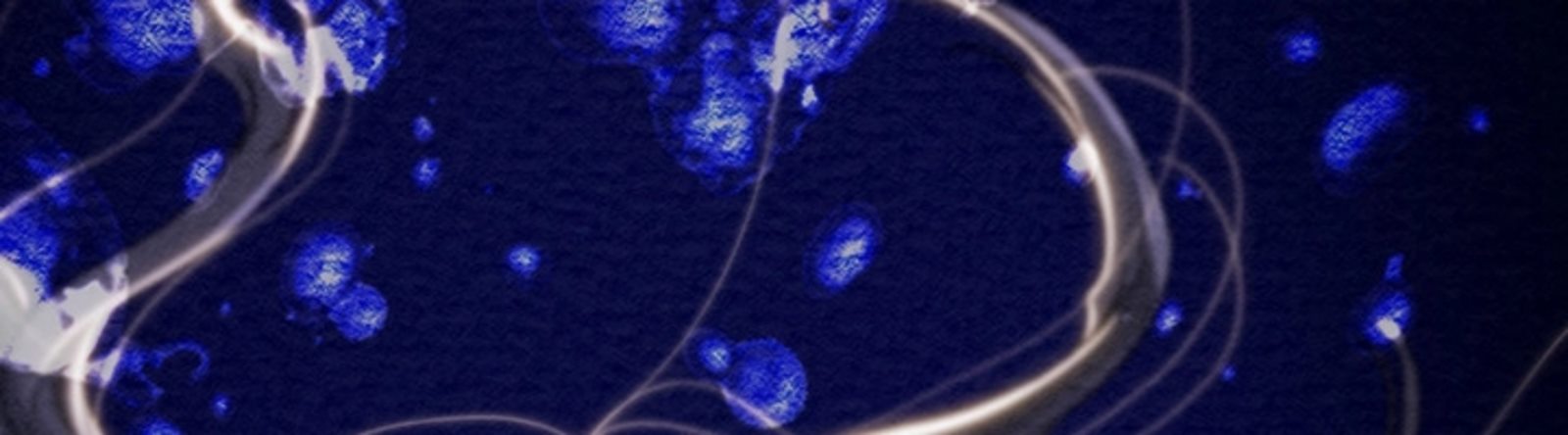 The Man Who Devours - Chapter 47 60